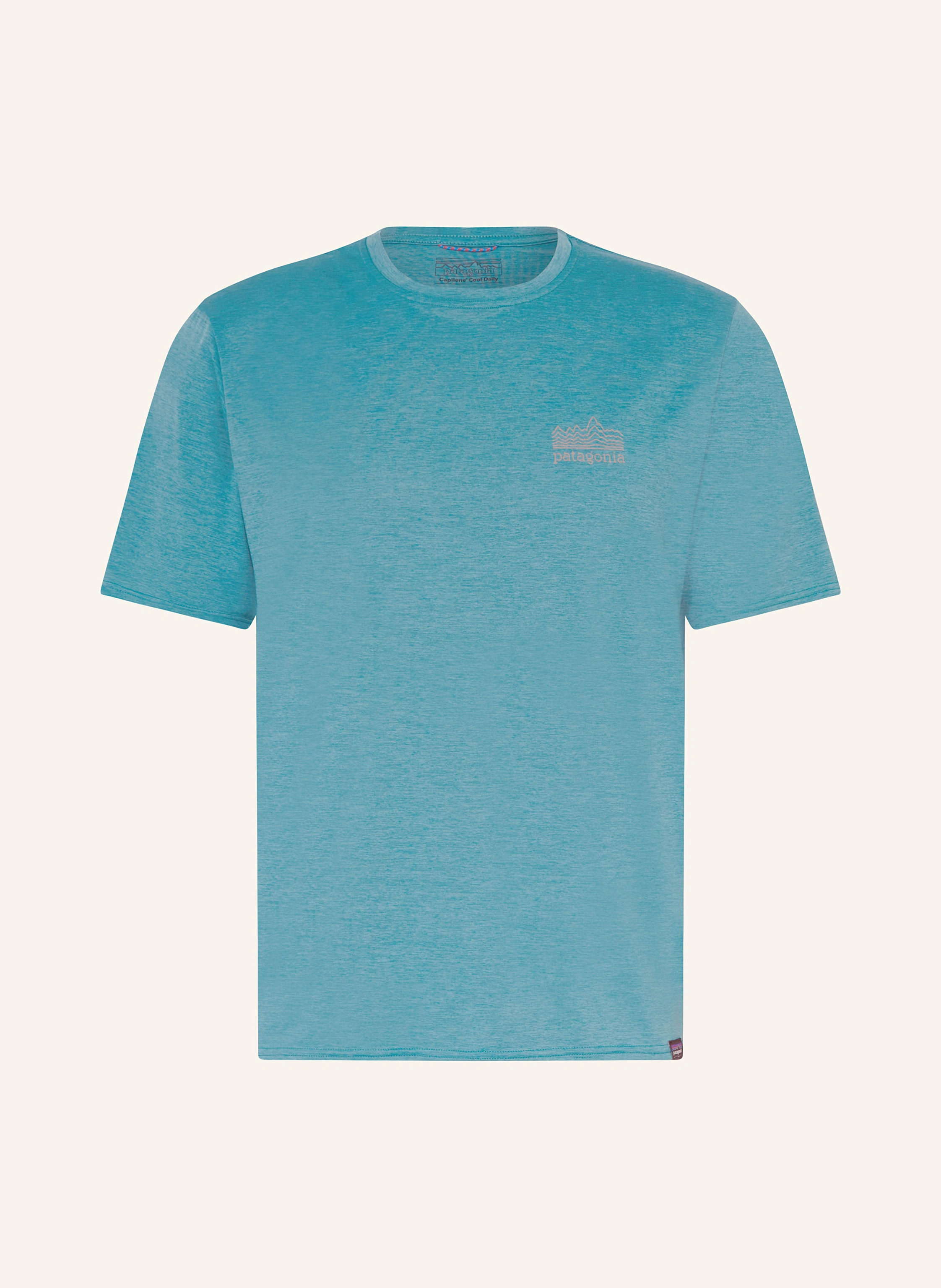 patagonia T-Shirt