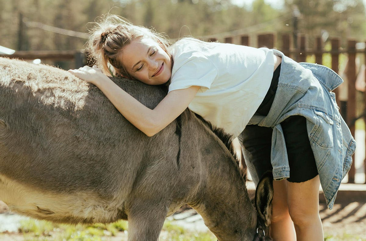 Eselwanderung für 2 Hirschburg
