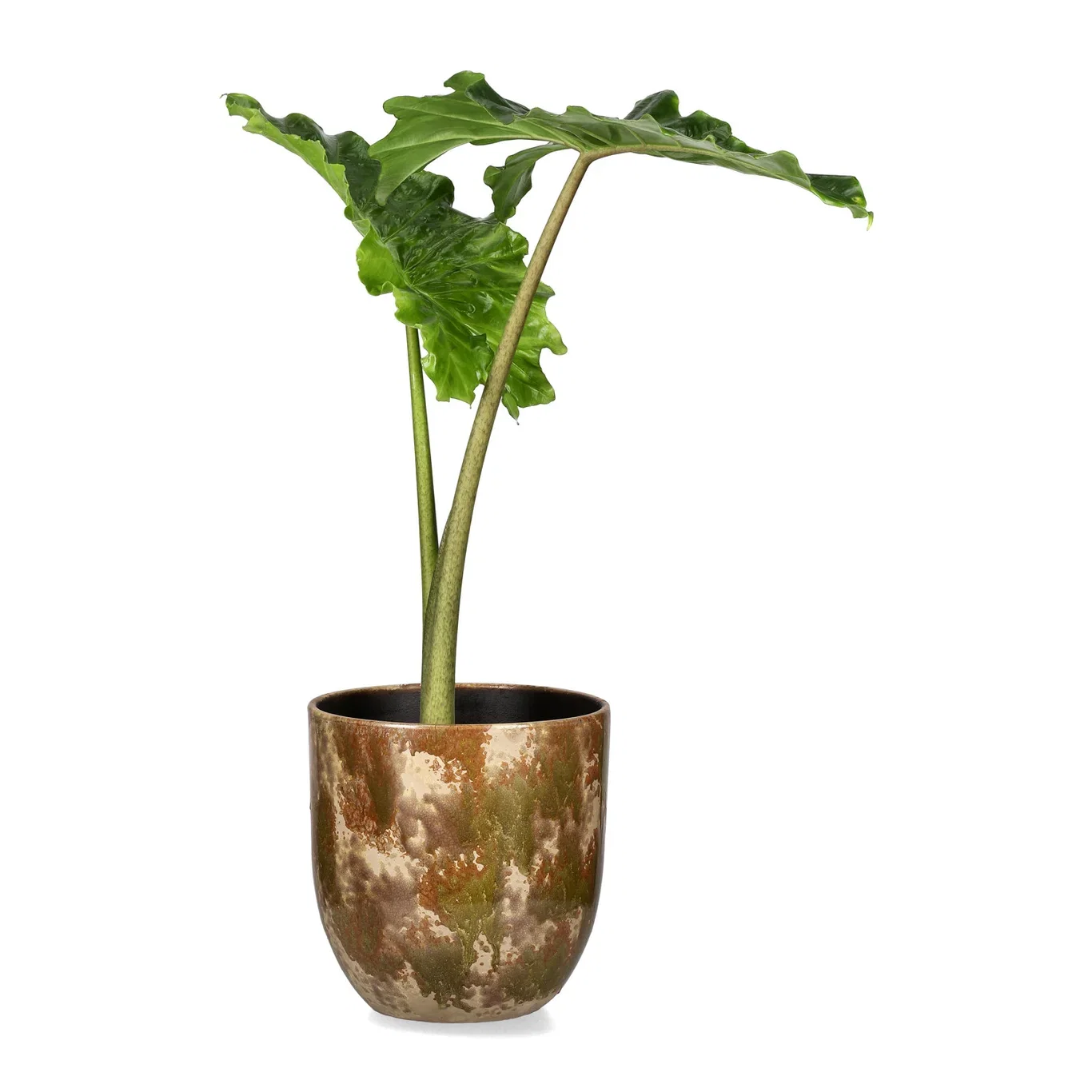Potte Aurelia Ø27 cm