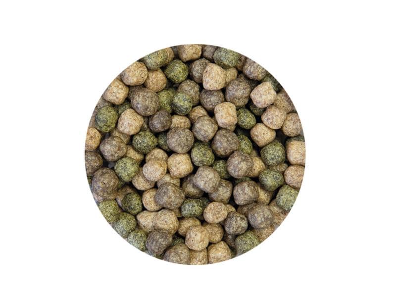 Kobre®San Koifutter Silver Line Grow & Color, 6 mm, 5 kg Einzelfuttermittel für Koi ab dem zweiten Lebensjahr oder für Koi ab 25 cm