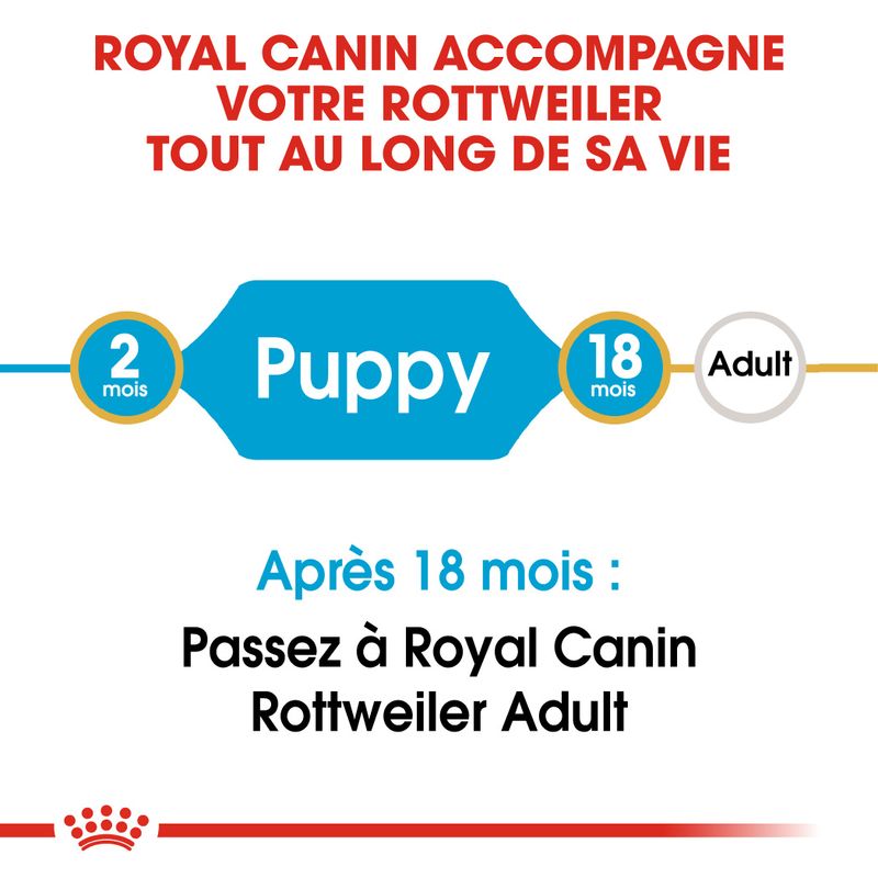 Royal Canin Rottweiler Puppy sur bitiba.fr