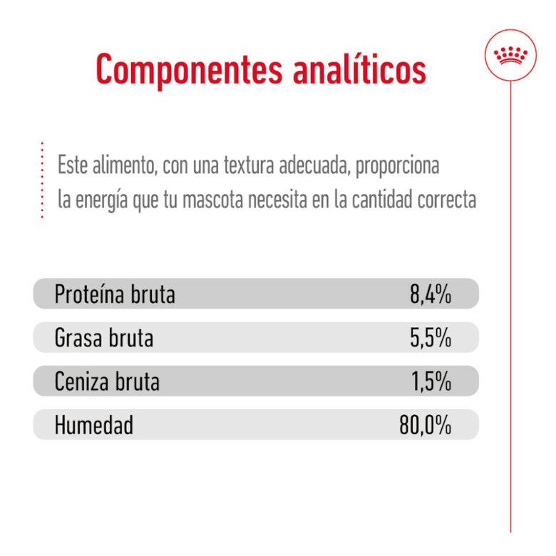 Areia higiênica Royal Canin Mini 8+ para cães idosos