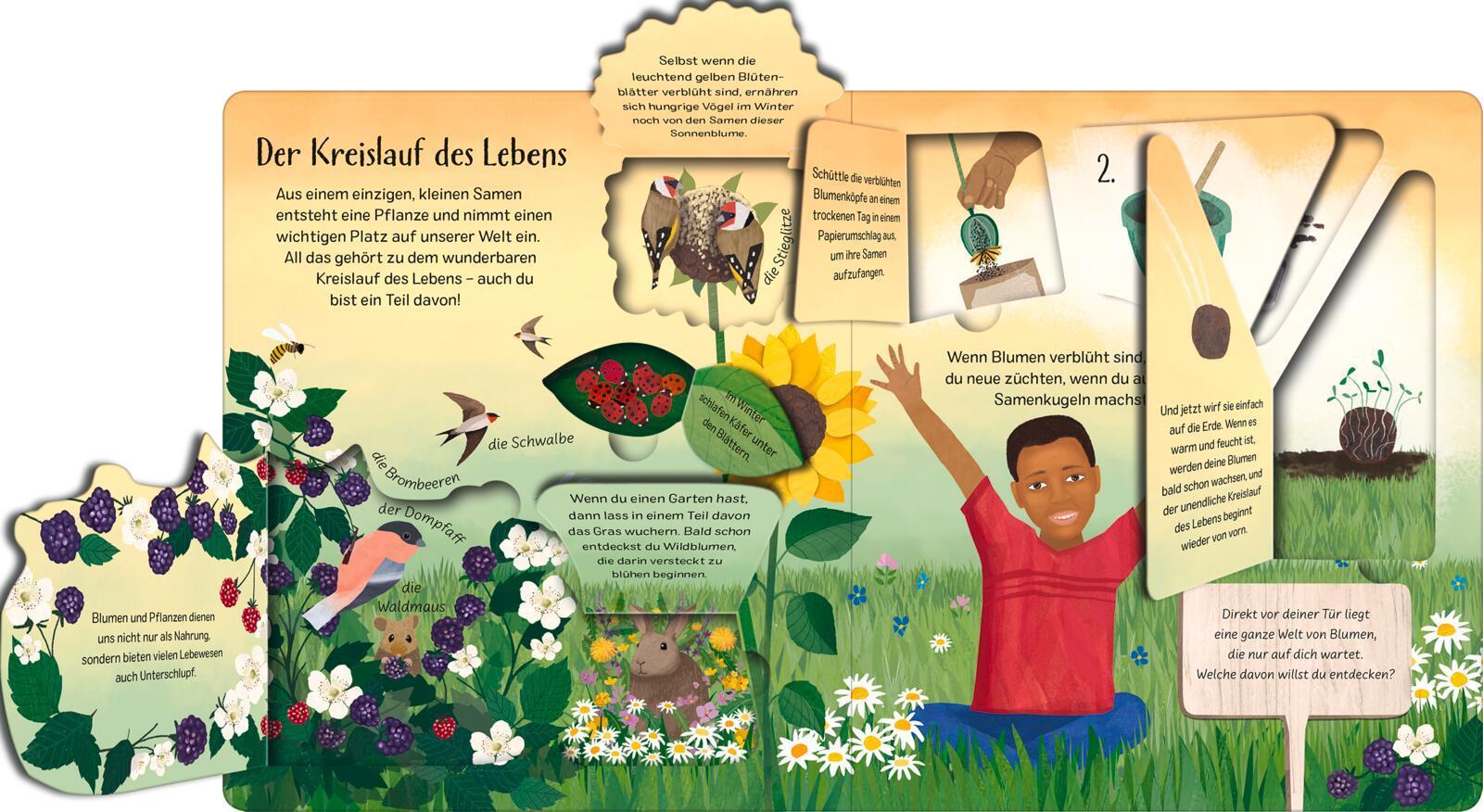 Ein kleines Samenkorn