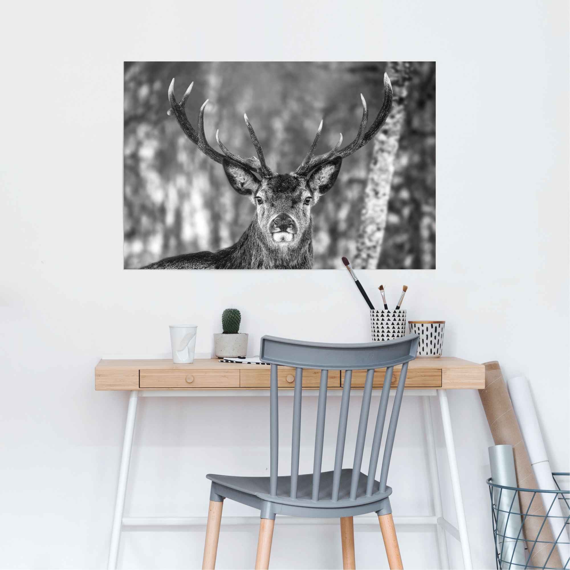 Reinders! Poster »Hirsch im Winter« 1 Stk. tlg.