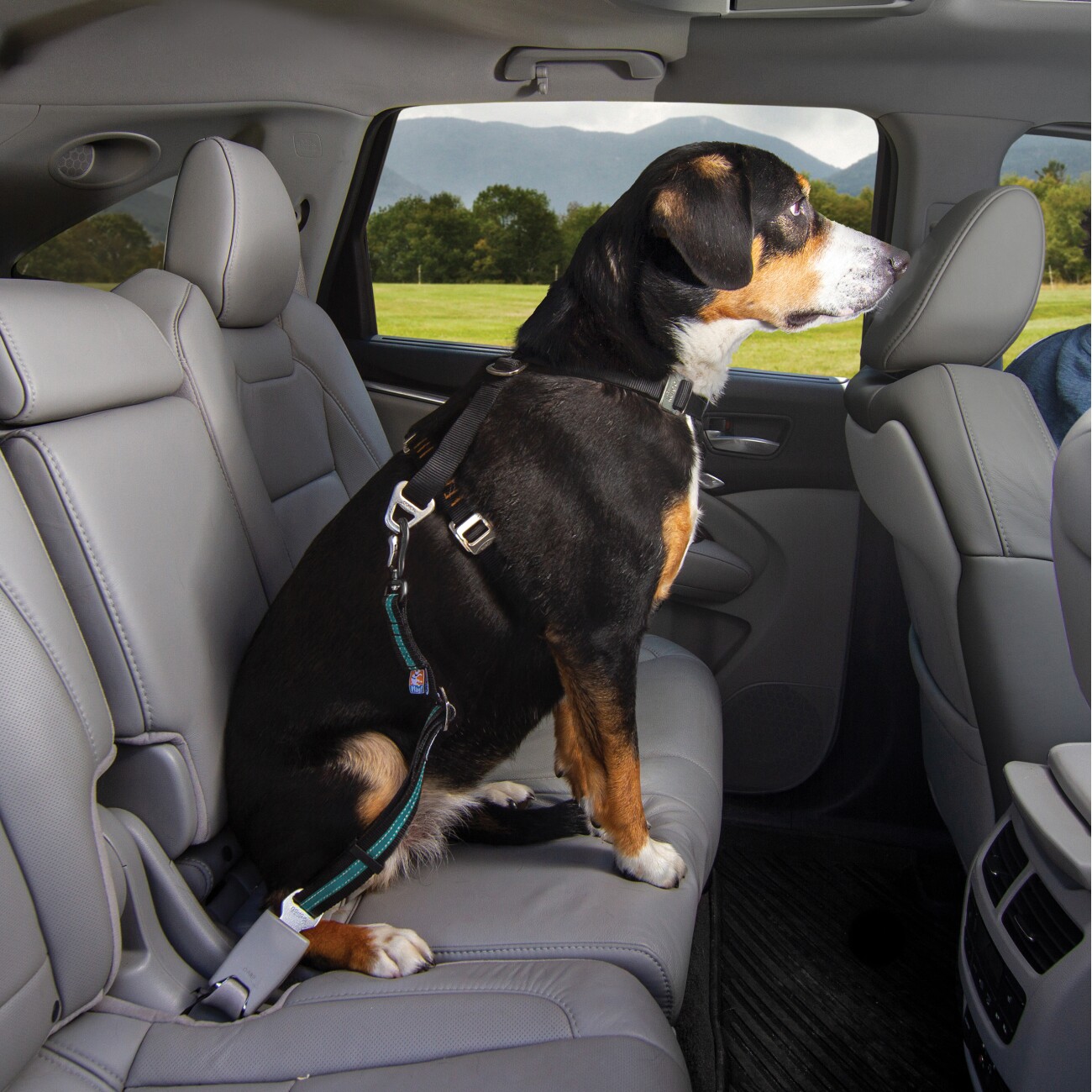 Kurgo Hundegurt fürs Auto