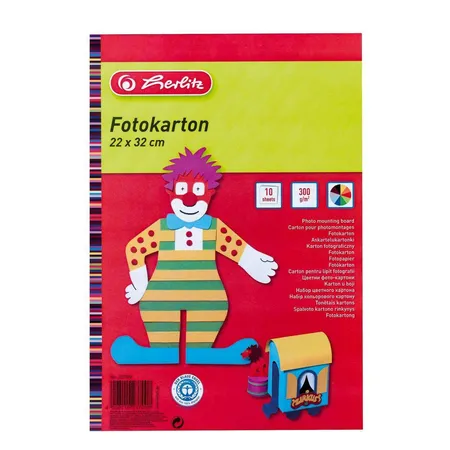 Herlitz Fotokarton 50 Blatt, 22 x 33 cm, 270gm², 10 Farben, 5 Blöcke