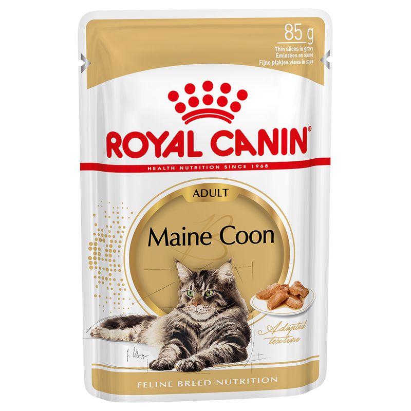 Royal Canin Maine Coon Adult en sauce