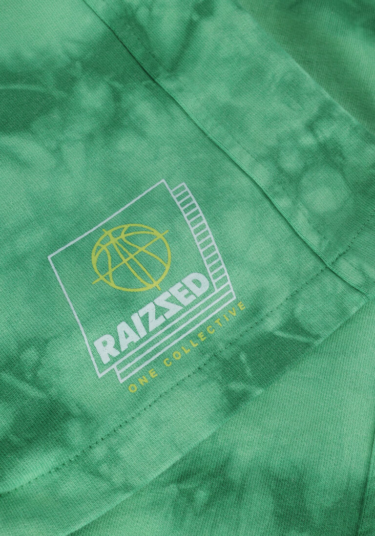 RAIZZED groene raizzed korte broek brandon