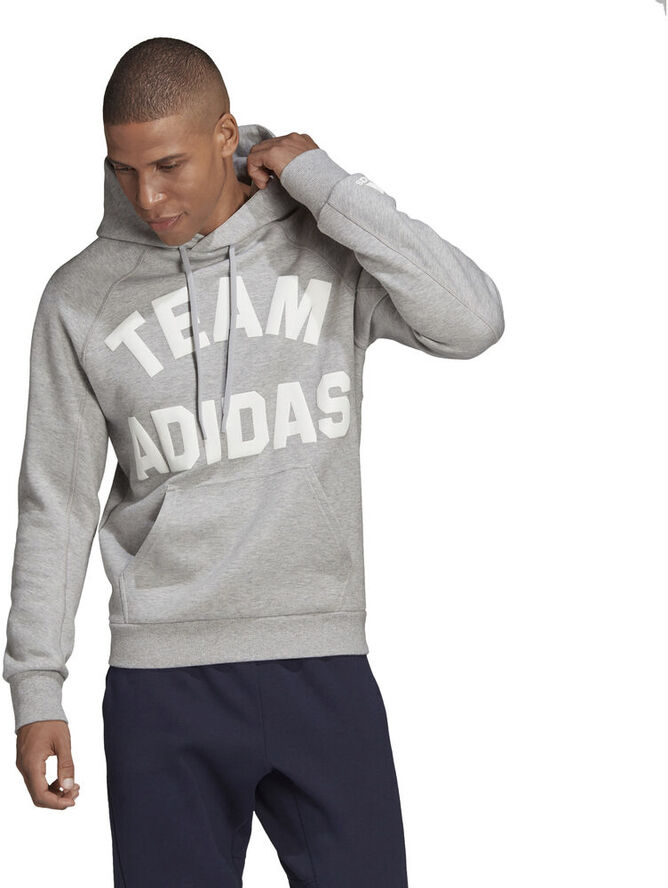 adidas VRCT Hoodie Grå
