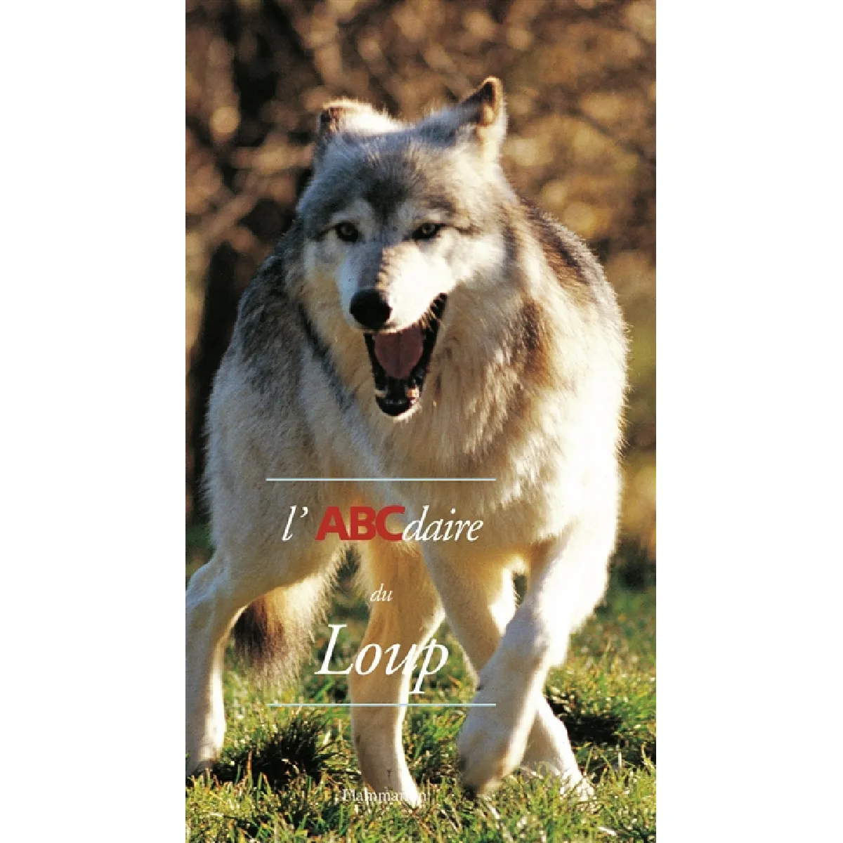 L'ABCdaire du loup · Occasion