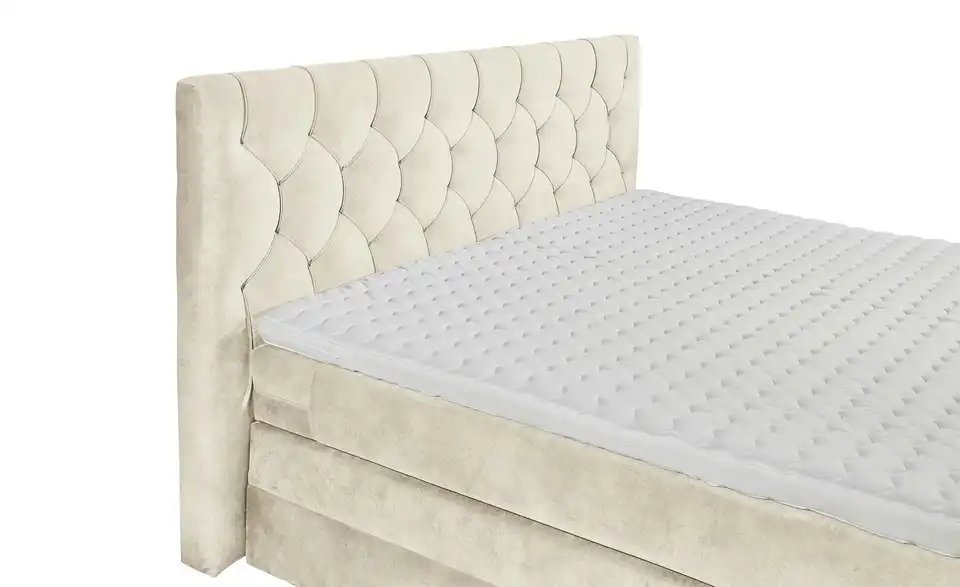 Boxspringbett Cashfield