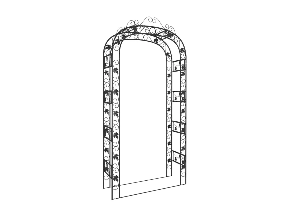 Arche de jardin Noir 116x45x240 cm Acier
