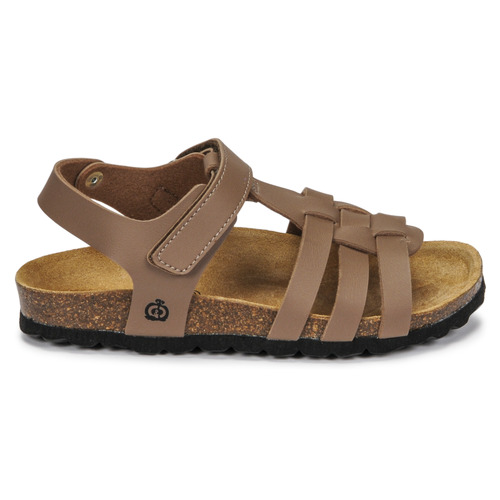 Citrouille et Compagnie - JANISOL - Marron taupe