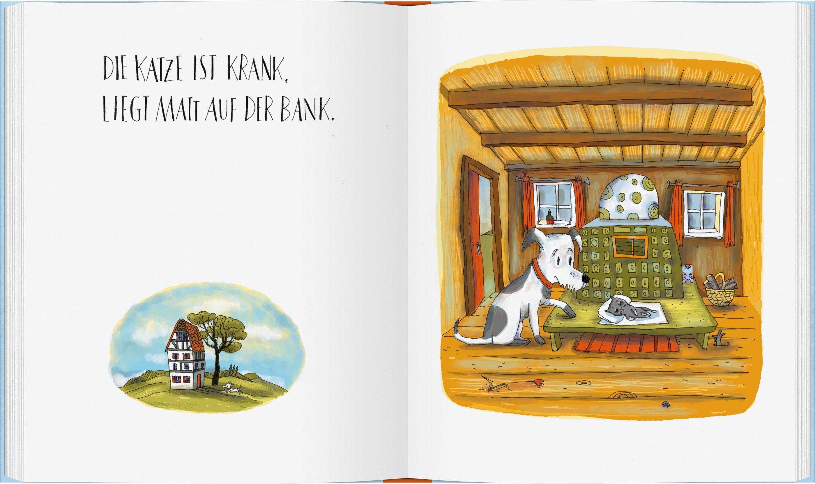 Bald bist du gesund, kleine Katze!