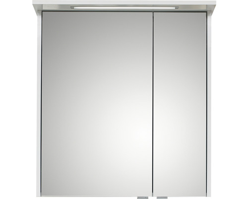 Pelipal xpressline 3261 spiegelkast, 66 x 16 x 72 cm, wit hoogglans, 2-deurs, LED
