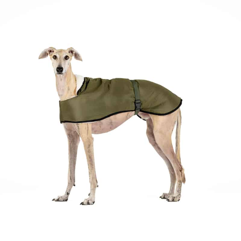 Casaco impermeável para galgos: elegante e proteção contra o frio e a chuva - forro de lã, isolamento térmico, abertura para coleira - ideal para galgos, podencos e outros cães de caça - cáqui, tamanho G