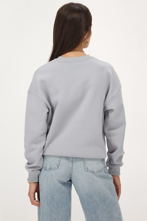 Lichtgrijze sweater 