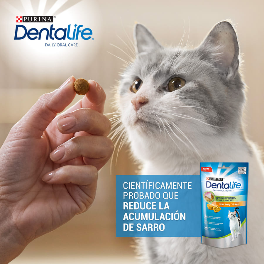 Dentalife Petiscos Dentais de Frango para Gatos