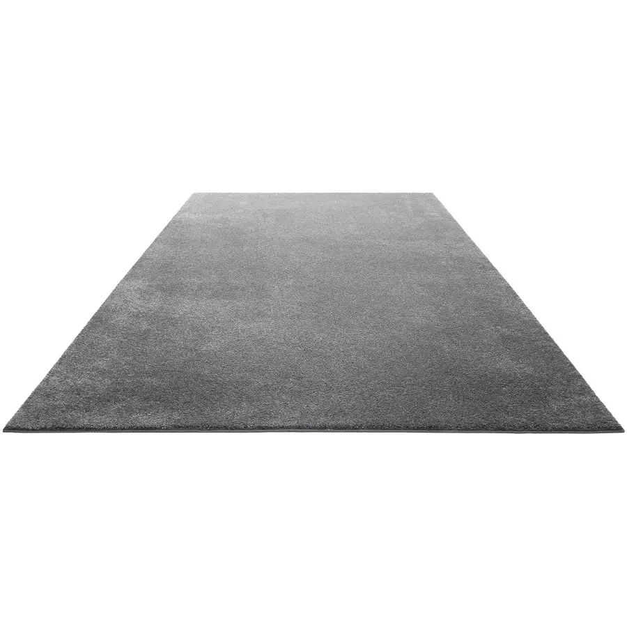 Homie Living Kurzflorteppich Venice silber