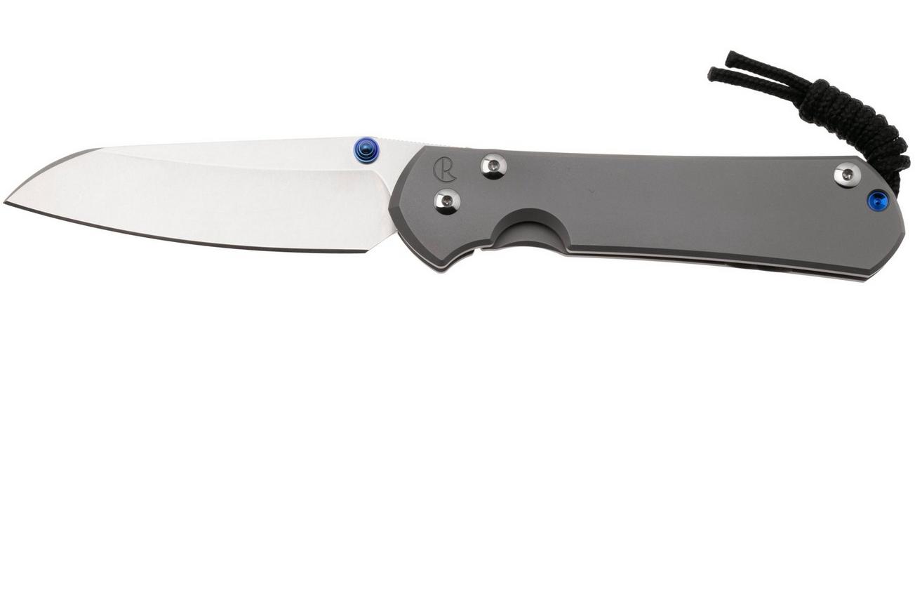 Chris Reeve Sebenza 31 Large Plain Glass Blasted Insingo L31-1685 zakmes