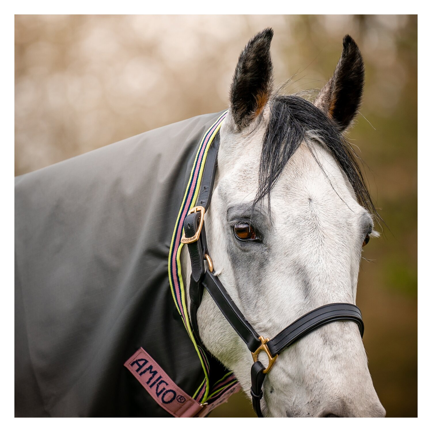 HORSEWARE Halsteil AMIGO Hero Ripstop - shoadow/rose/navy