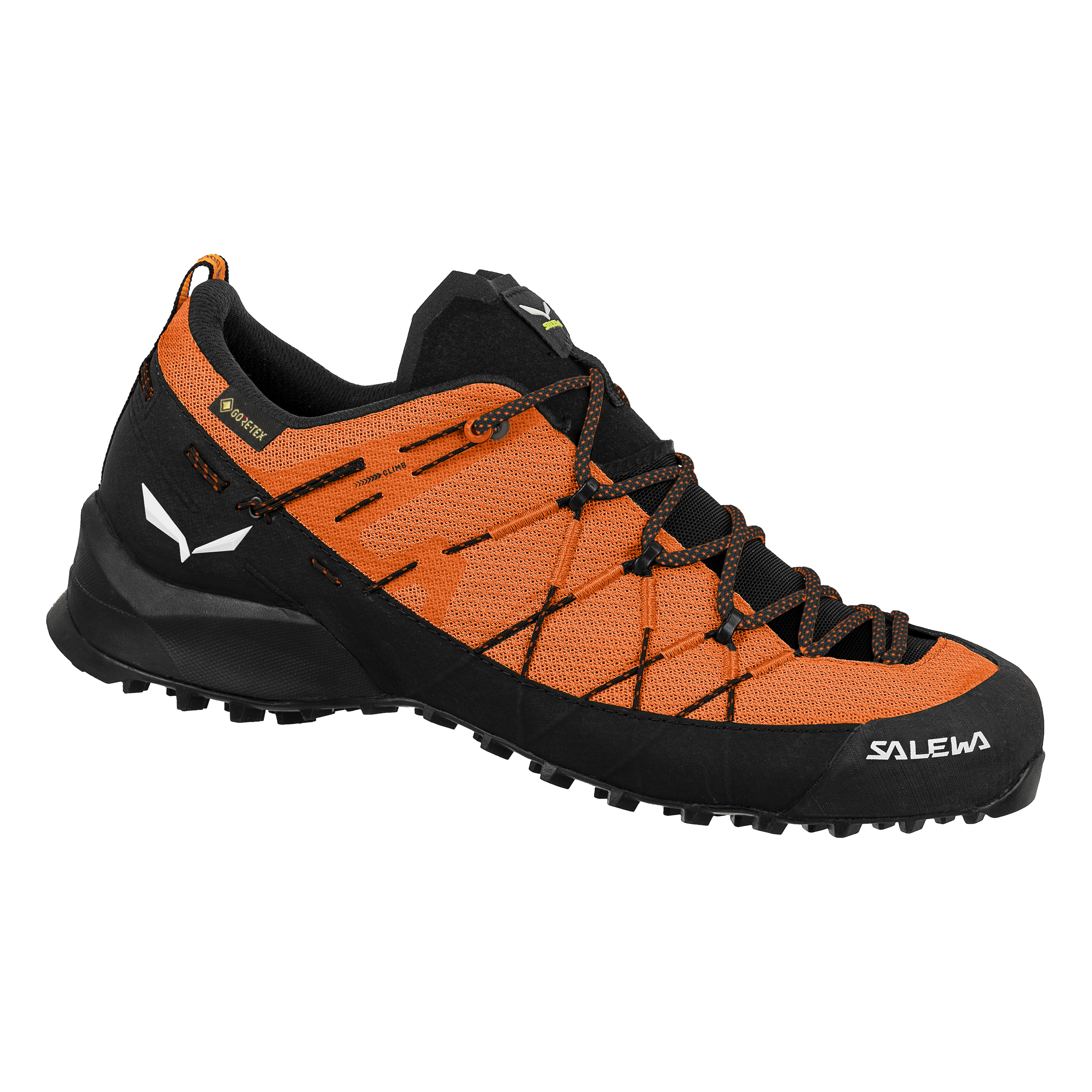 Wildfire 2 Gore-Tex® Schuh Herren