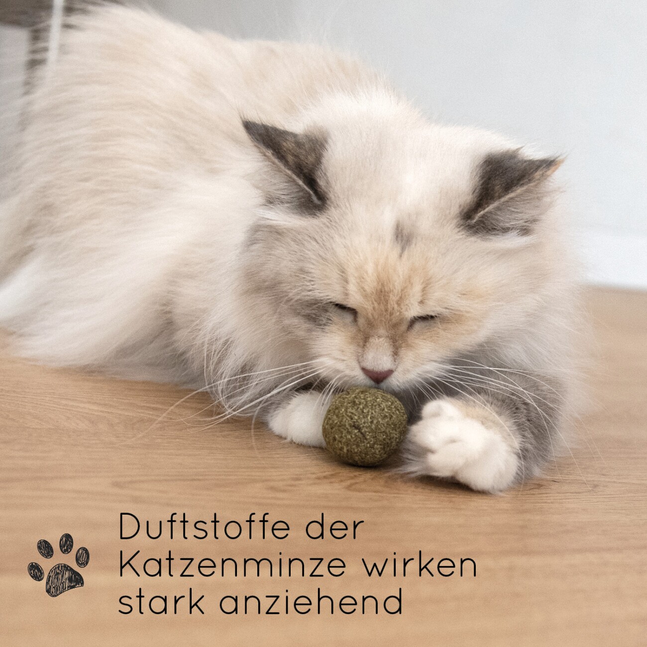 KaraLuna Katzenminze Bälle 3 Stk.