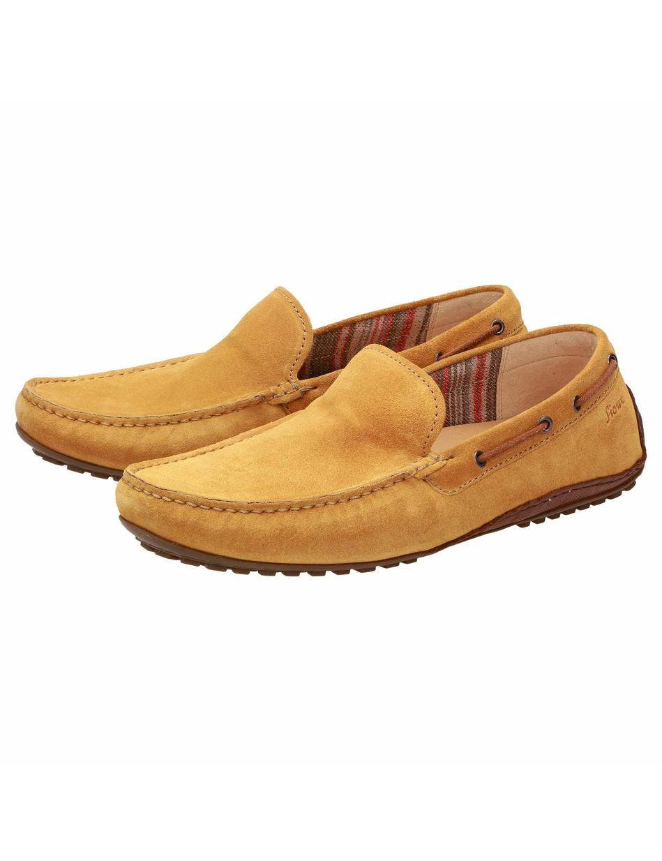 Slipper Callimo