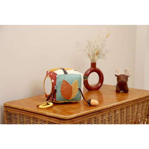 Cube d'Éveil Foret Multicolore - LITTLE BIG FRIENDS