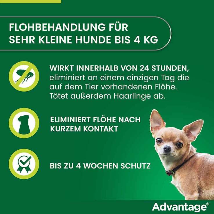Advantage 40 für Hunde bis 4 kg, 4 St