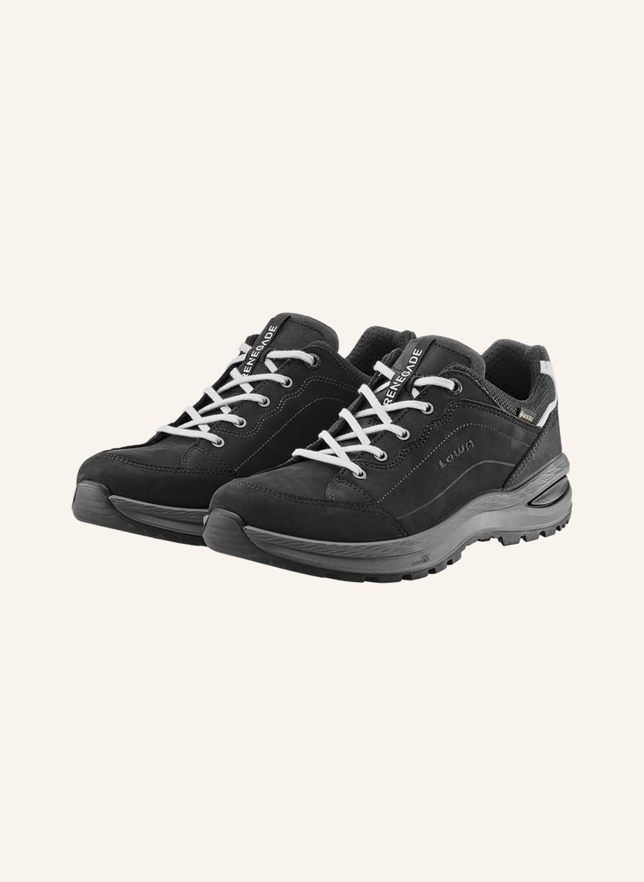 LOWA Wanderschuhe RENEGADE EVO GTX LO