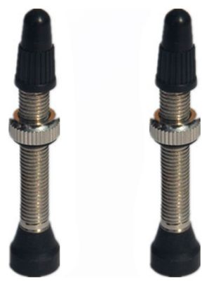 Paire de Valves Tubeless Progress PG-716 Presta 44mm Argent