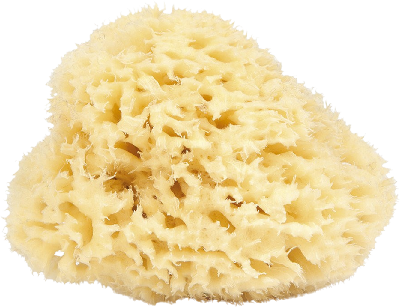 Najel  Naturschwamm, 9-10 cm
