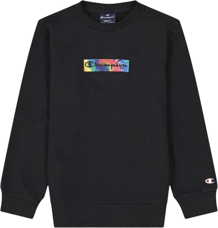 Champion Tie-Dye Script Logo sweatshirt Sort