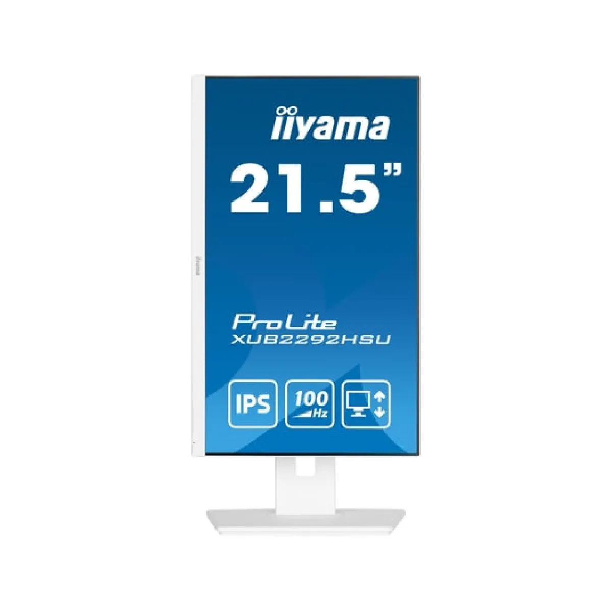 IIYAMA ProLite XUB2292HSU-W6