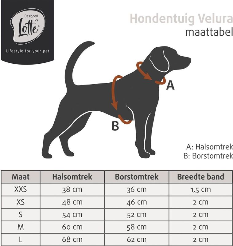 Designed by Lotte - Velura Hondentuigje - Zacht - Meerdere Kleuren Beschikbaar