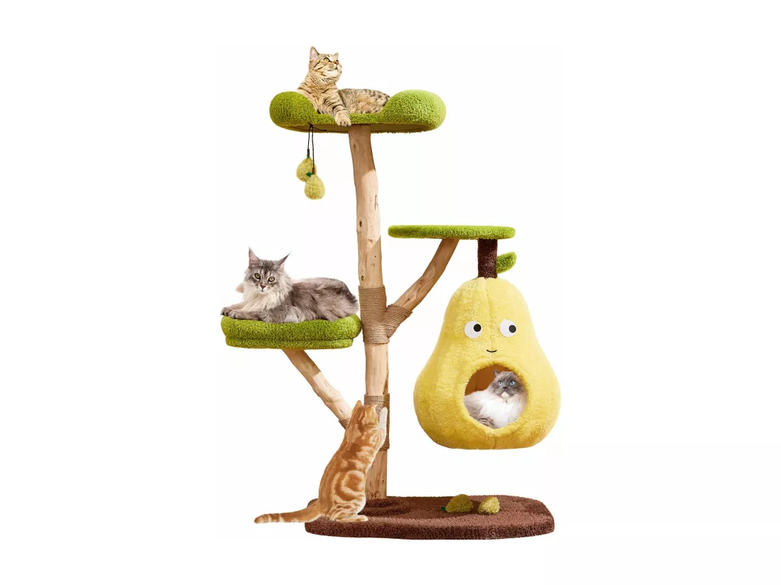 Arbre à chat en bois massif, d77cm×h137cm, vert