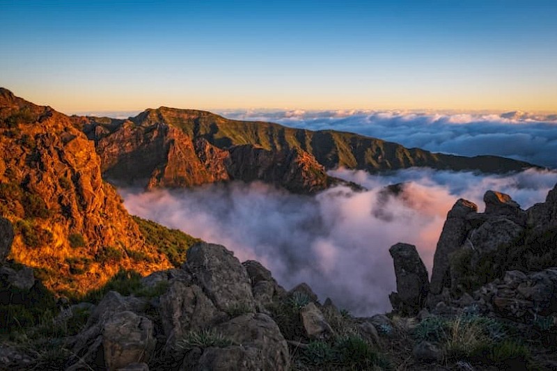 Bloemeneiland Madeira