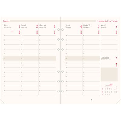 Oberthur - Recharge pour organiseur - 1 semaine sur 2 pages (semainier français) - 14,5 x 23,5 cm