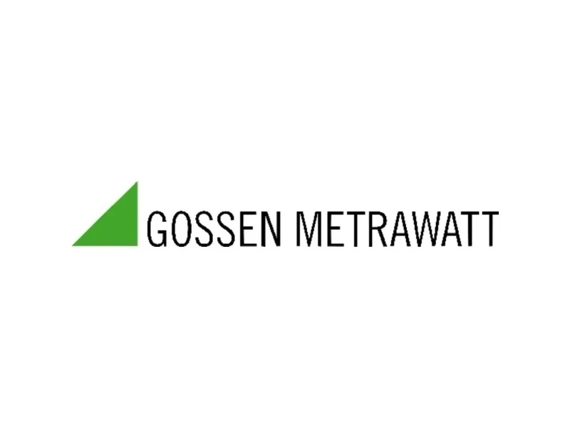 Gossen Multimeter METRALINE DM 61CAT IV 300V/CAT III 600V M194A (M194A)
