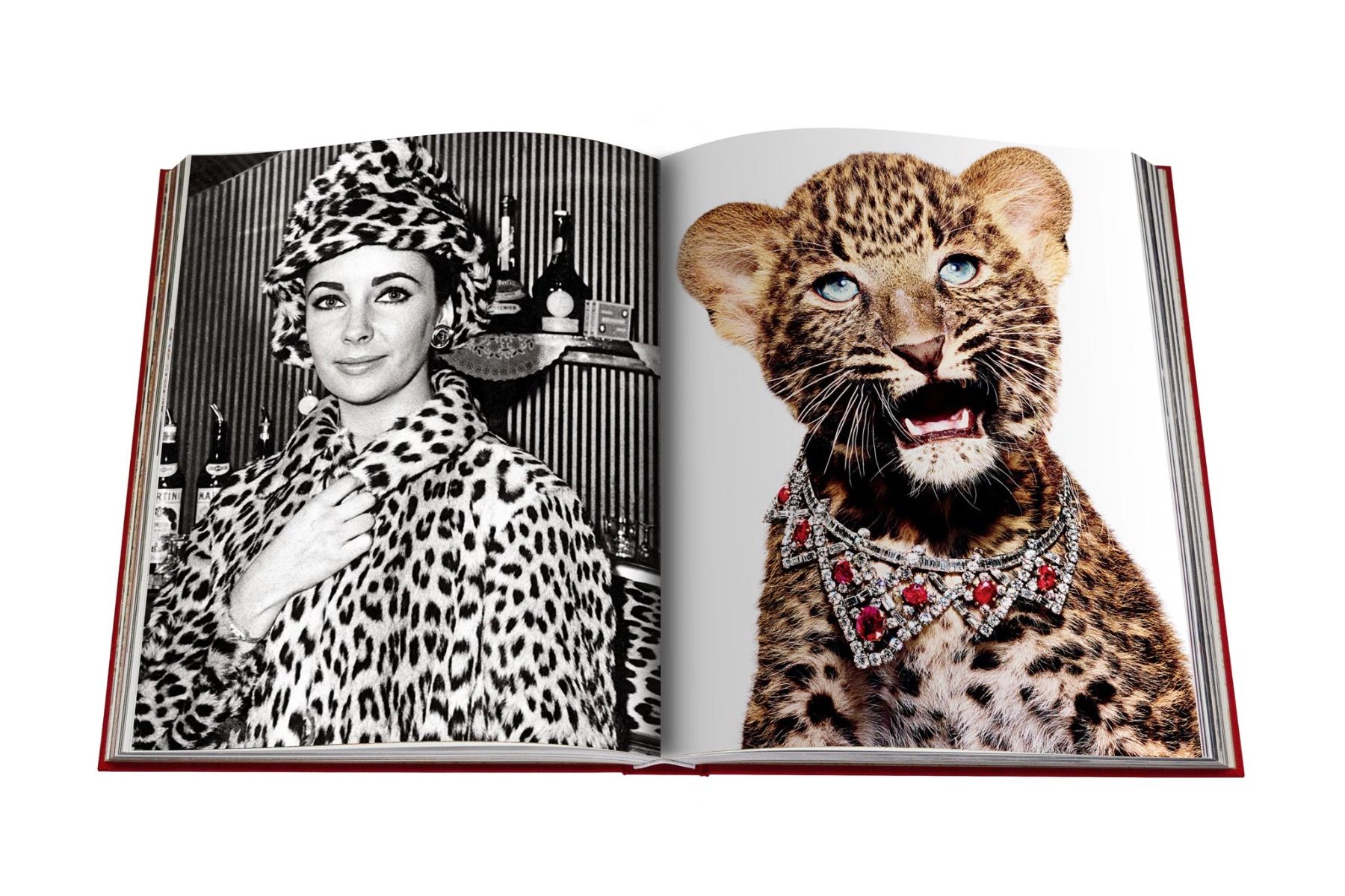 Assouline Cartier Panthère