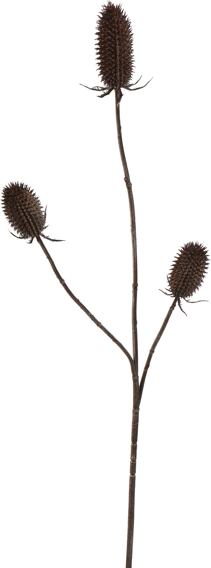 Jasaco Pure kunstbloem Kogeldistel bruin 99 cm