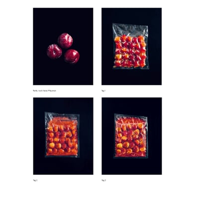 Das Noma-Handbuch Fermentation