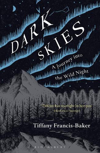 Dark Skies: A Journey into the Wild Night (Paperback)