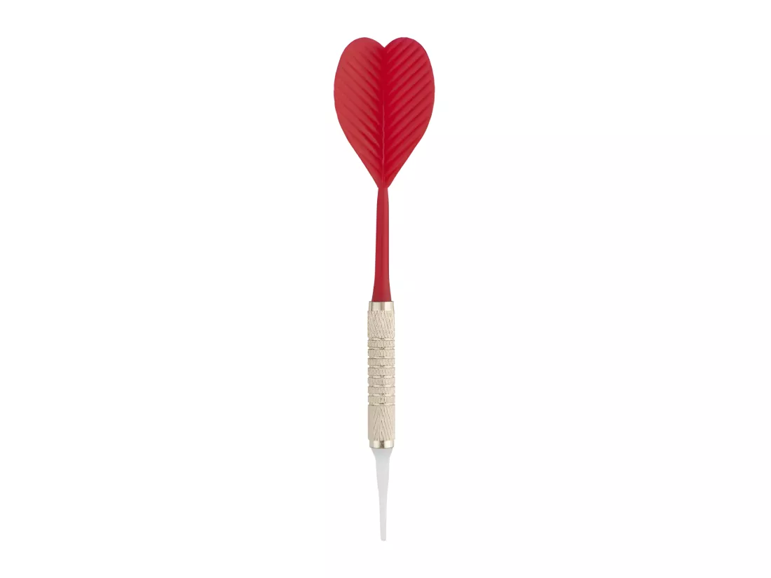 Cible de fléchettes à pointe plastique D45cm - Noir