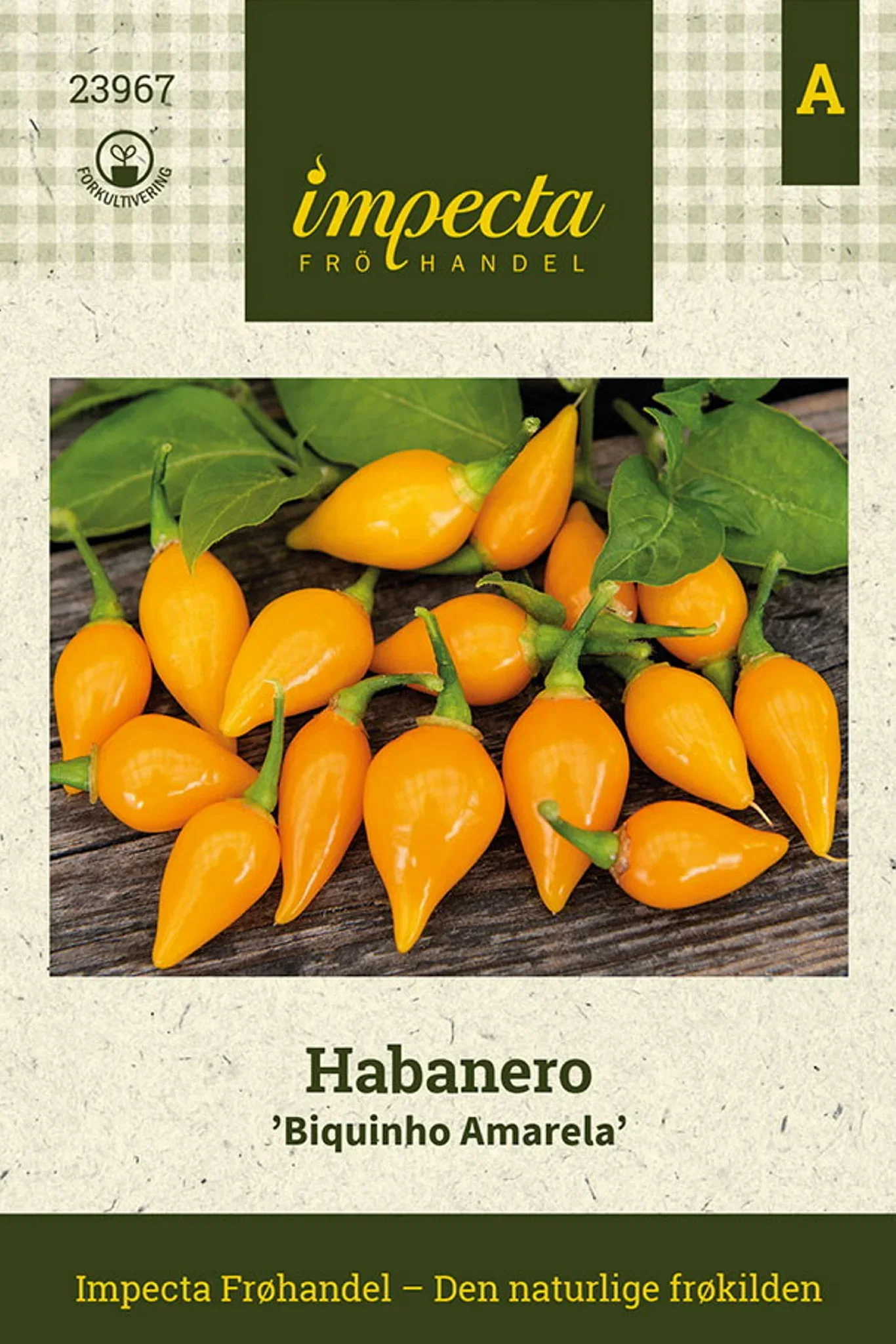 Capsicum chinense 'Biquinho Amarela' Habanero 'Biquinho Amarela'