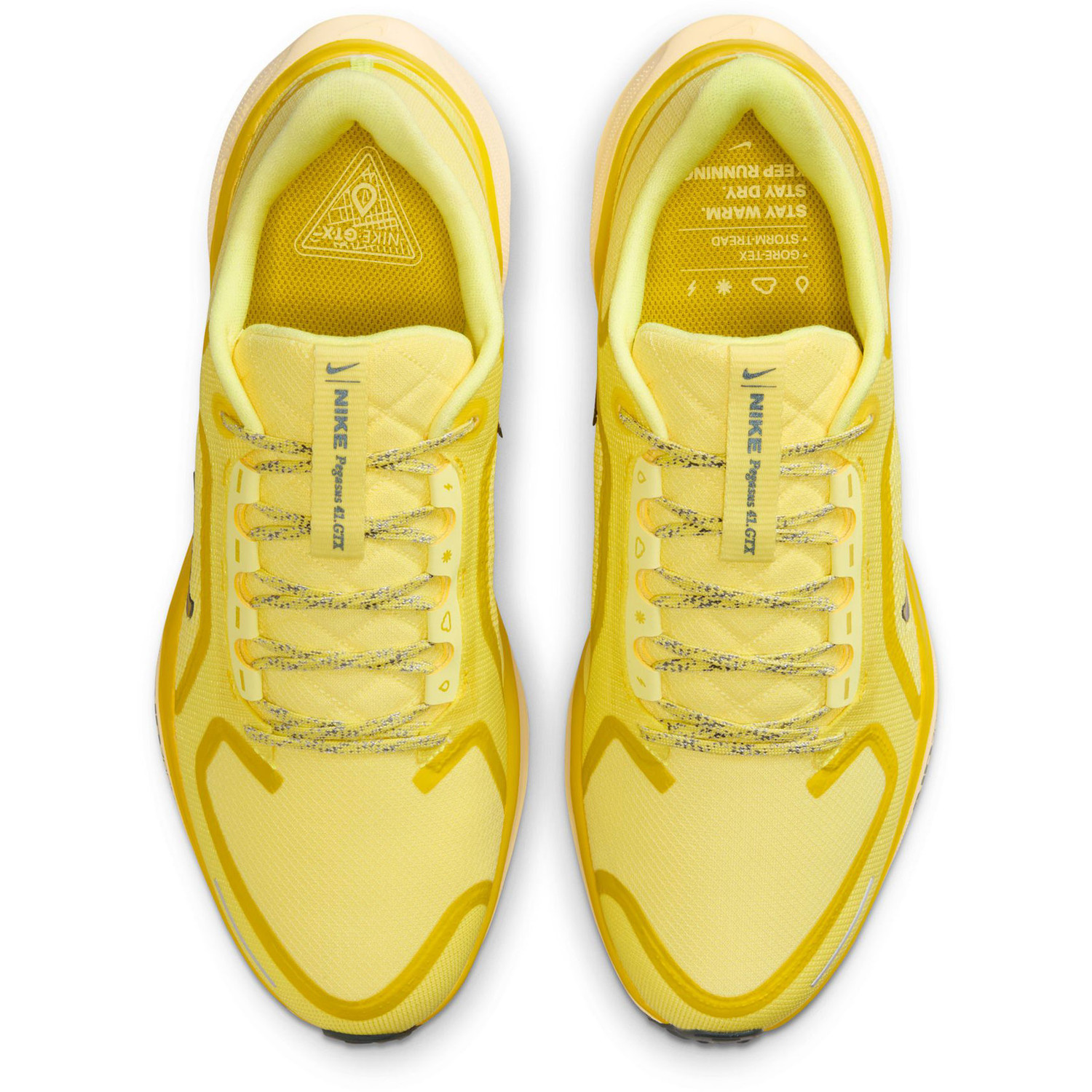 Nike Pegasus 41 GTX Heren