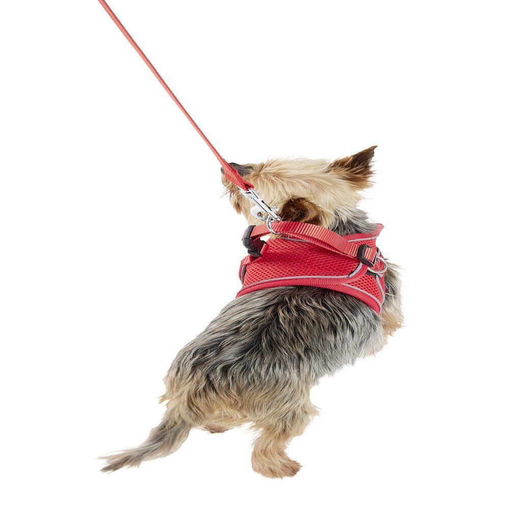 Harnais pour chien avec laisse rouge Taille M