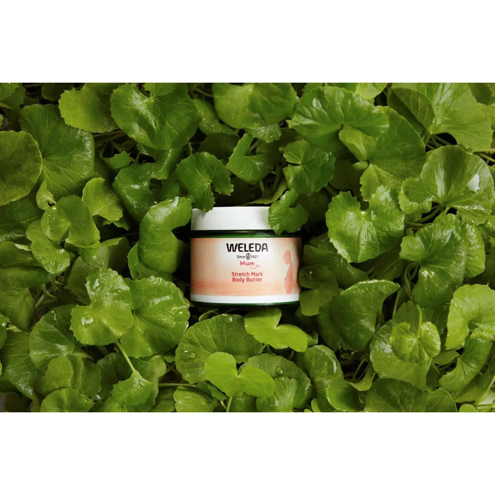 Weleda Stretch Mark Body Butter - 150 ml.
