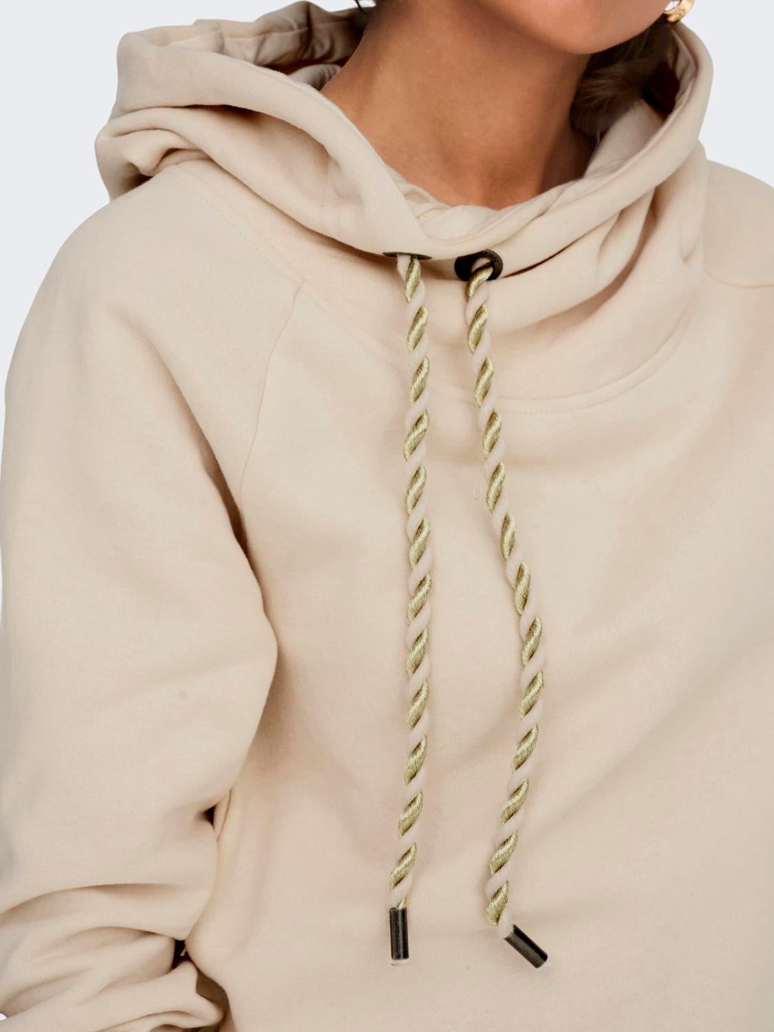 ONLJALENA Sweatshirt Birch